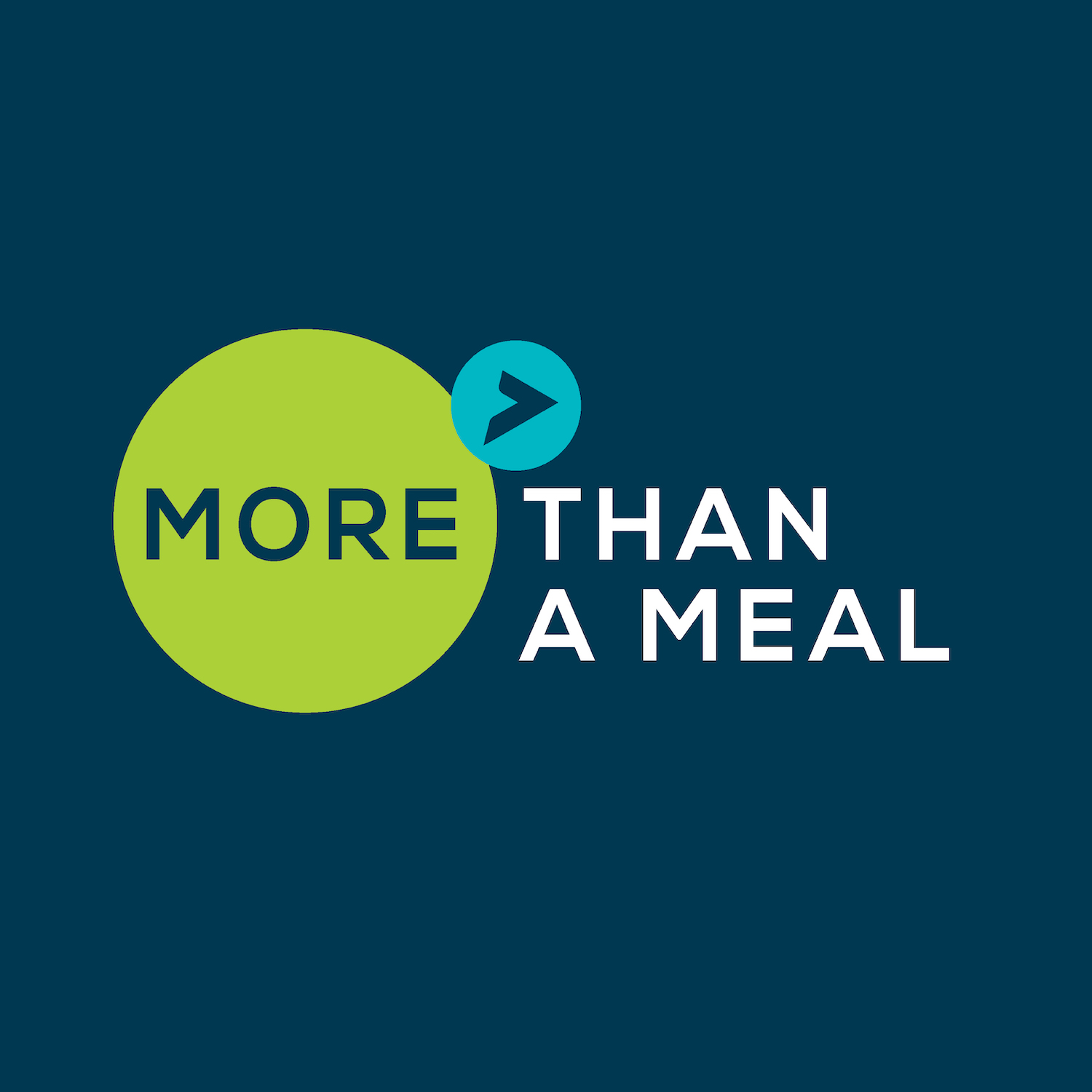 Meals On Wheels America: More Than A Meal Study | Hospice, Palliative ...